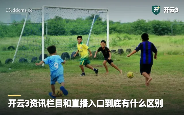 开云3资讯栏目和直播入口到底有什么区别